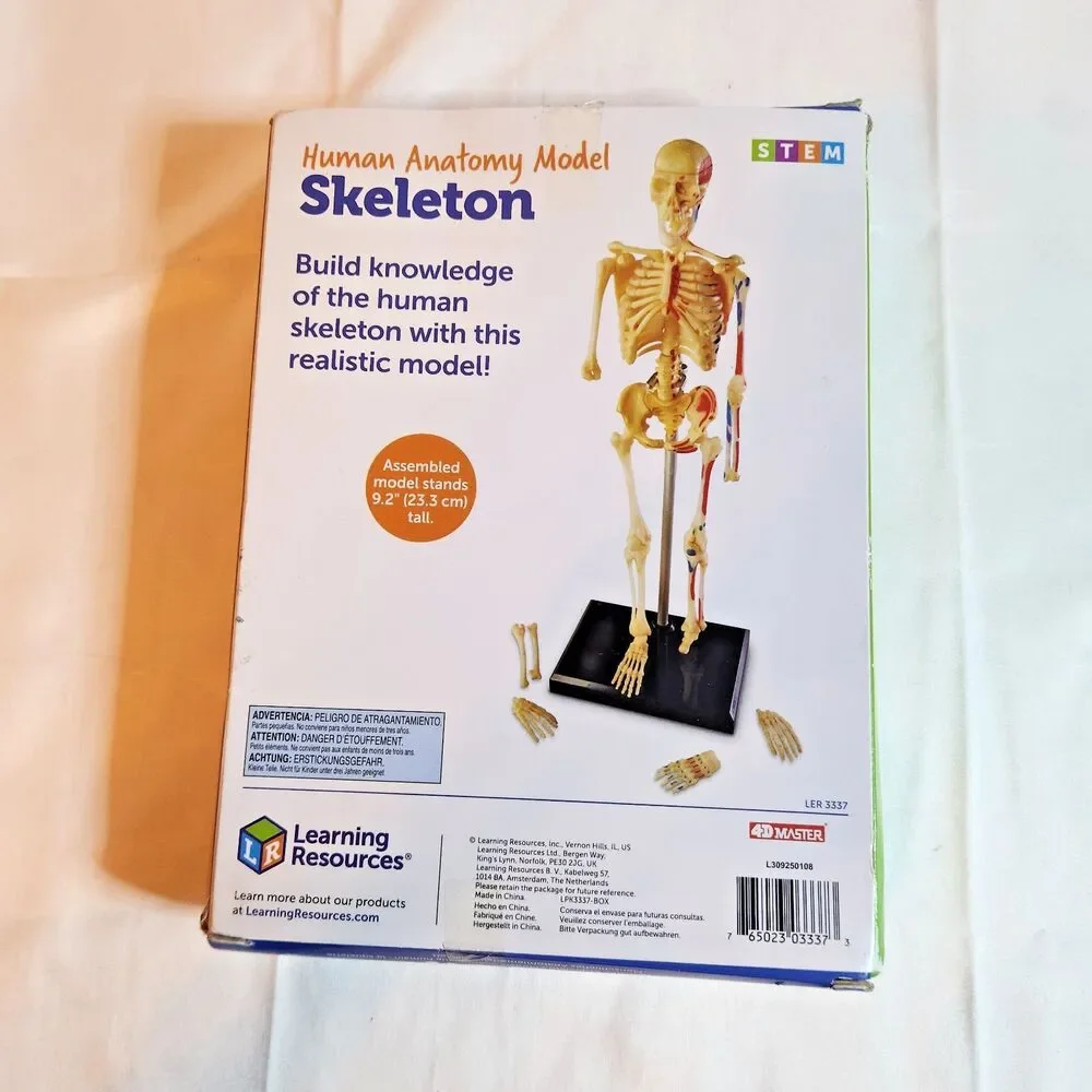 Learning Resources Mini Skeleton Model 9.2